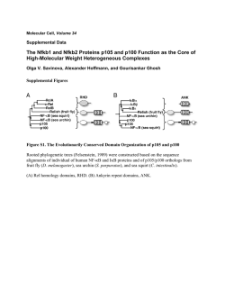 Document S1. Supplemental Experimental Procedures and
