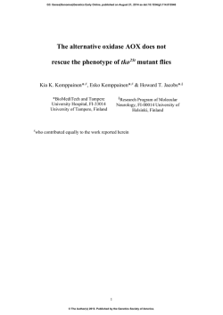 The alternative oxidase AOX does not rescue the phenotype of