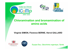 Chloramination and bromamination of amino acids