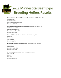 2014 Junior Breeding Heifer Champions