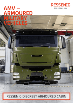 AMV product sheet (PDF)