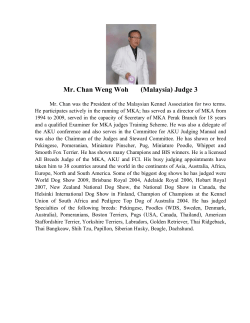 Mr. Chan Weng Woh (Malaysia) Judge 3