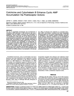 Colchicine and Cytochalasin B Enhance Cyclic AMP Accumulation