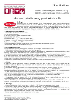 Lallemand dried brewing yeast Windsor Ale