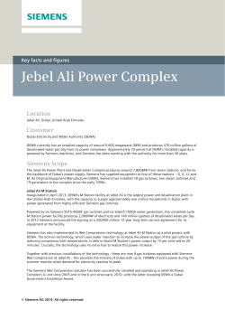 Factsheet: Jebel Ali Power Complex