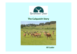 Ali Loder The Culquoich Story 3.pptx