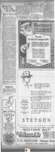 Brooklyn NY Daily Eagle 1920 a Grayscale