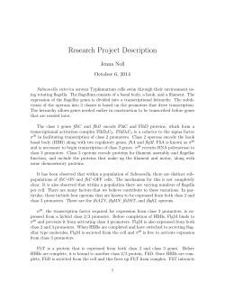 Research Project Description