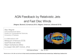 AGN Feedback by Relativistic Jets and Fast Disc Winds
