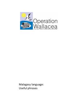 375 kB 28th Feb 2014 Malagasy Language Booklet 2014