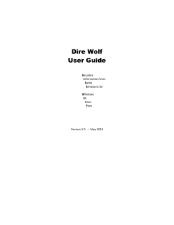 Dire Wolf User Guide