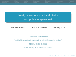 Immigration, occupational choice and public employment
