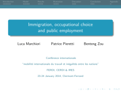 Immigration, occupational choice and public employment