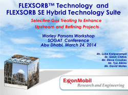 FLEXSORB Technology and FLEXSORB SE Hybrid