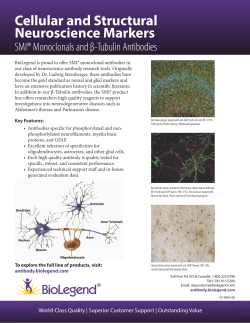 Cellular and Structural Neuroscience Markers
