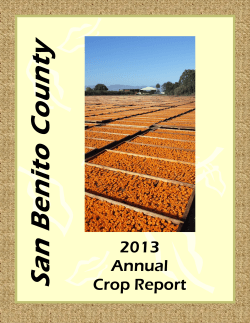 2013 Crop Report - San Benito County