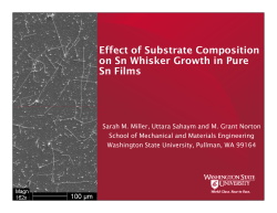 Effect of Substrate Composition on Sn Whisker Growth in Pure Sn
