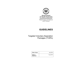 2014 TVSP Guidelines - Department of Treasury and Finance