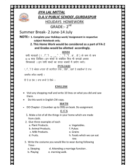 Holiday Homework - jiya lal mittal dav public school