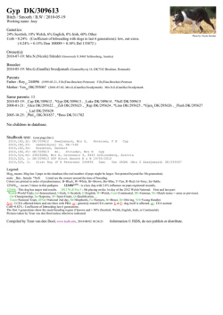 Gyp DK/309613