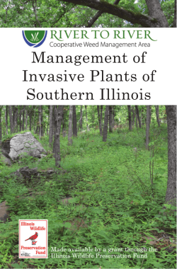 Management of Invasive Plants of Southern Illinois