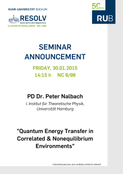 Dr. Peter Nalbach, Theoretical Physics, University of Hamburg