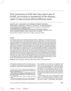 Ionic interactions at both inter-ring contact sites of