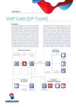 VoIP Gate (SIP Trunk)