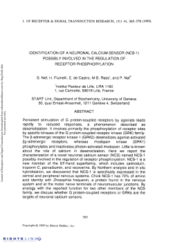 Identification of a neuronal calcium sensor (NCS-1