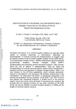 Identification of a neuronal calcium sensor (NCS-1