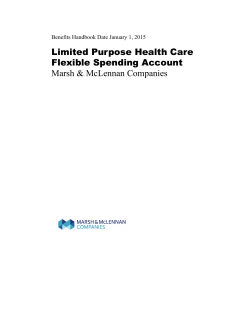 Limited Purpose Health Care Flexible Spending Account Marsh