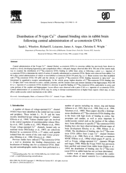 Distribution of N-type Ca 2 channel binding sites in rabbit brain