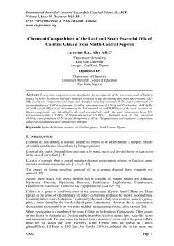 Download pdf