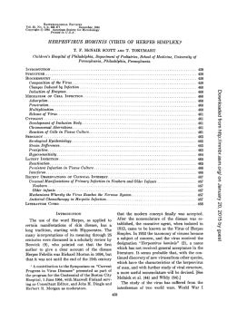 HERPESVIRUS HOMINIS (VIRUS OF HERPES SIMPLEX