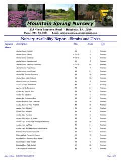 Nursery Availbility Report - Shrubs and Trees