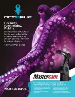 Flexibility. Functionality. Fluidity. What is OCTOPUZ?