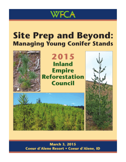 Site Prep and Beyond: Managing Young Conifer Stands