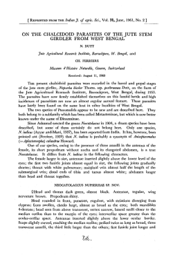 on the ghalgidoid parasites of the jute stem girdler from west bengal