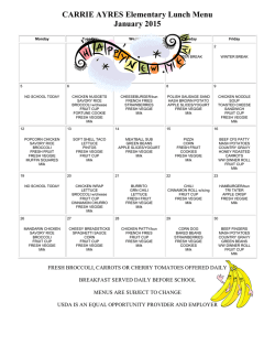 Lunch Menu - Ayres Elementary School