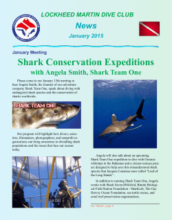 Shark Conservation Expeditions