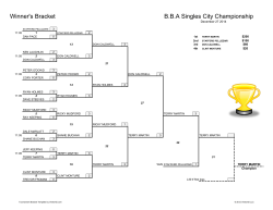 8 ball Singles Champion