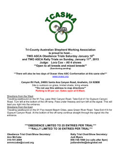 Premium - Tri-County Australian Shepherd Working Association