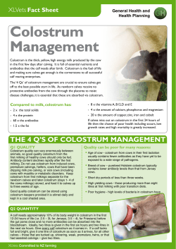 Colostrum Management