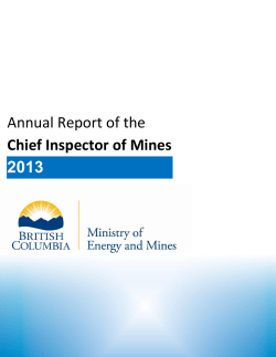Annual Report of the Chief Inspector of Mines 2013