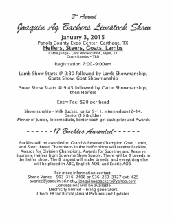 Joaquin Ag Backers 3rd Annual Livestock Show Flyer #1