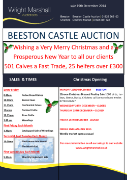 Beeston Market Report 19th December 2014