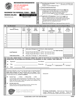 2009 business tax renewal instructions - City of Los Angeles