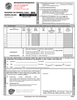 2009 business tax renewal instructions - City of Los Angeles