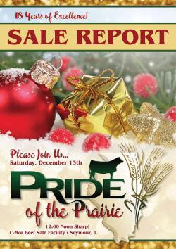 Click Here For PDF Sale Report