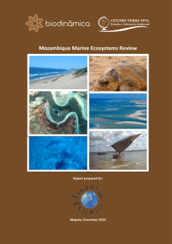 ! ! Mozambique!Marine!Ecosystems!Review!
